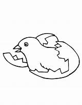 Hatching Chick sketch template