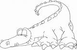 Alligator Coloring Pages Color Animal Sheet Cartoon Printable Kids Animals Popular Library Clipart sketch template