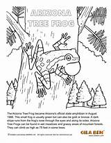 Arizona Tree Coloring Frog Pages State Printable Amphibian Artwork Template sketch template