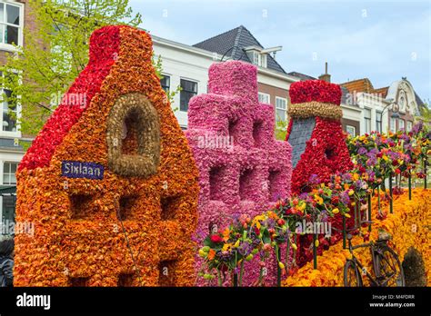 statue   tulips  flowers parade  haarlem netherlands stock photo alamy