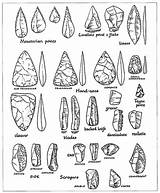 Mousterian Artifacts Neanderthal Paleolithic Levallois Neandertals Homo Archaeology Scraper Prehistoric sketch template