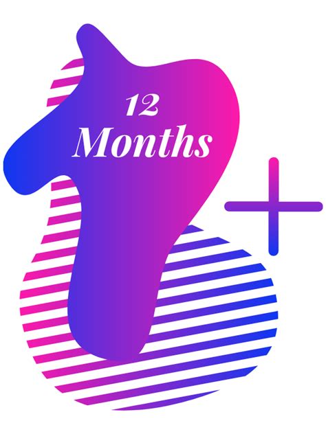 months subscription