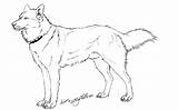 Husky Coloriage Puppy Getdrawings Imprimer Whitespiritwolf Siberian sketch template