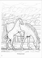 Chevaux Caballos Realistic Colorier Sauvage Adulte Gratuit Depict Livres Coloriages sketch template