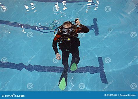 swim coach stock photo image  diving leisure people