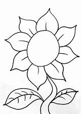 Bunga Matahari Sketsa Menggambar Sederhana Cara sketch template