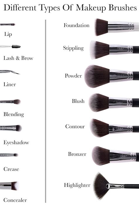 14 different types of makeup brushes and their uses guide