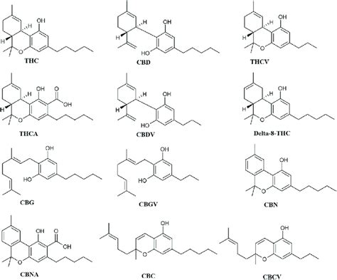 Structure Of Cannabinoids Archetypal Of Their Structural Families