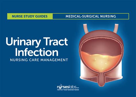 urinary tract infection nursing care  management study guide