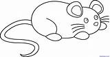 Mouse Clipart Outline Rat Clip Cute Cartoon Line Transparent Lineart Cliparts Drawing Library Coloring 20clipart Artistic Pages Clipground Panda Colorable sketch template