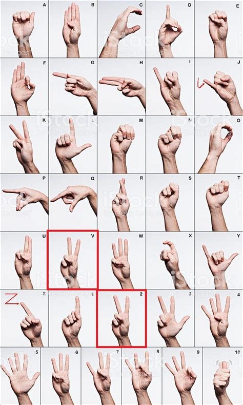 deep learning hand gesture recognition  yacine benaffane