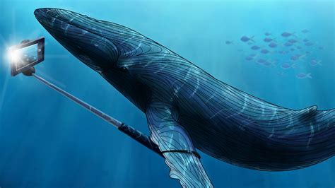 bbc radio  natural histories whales