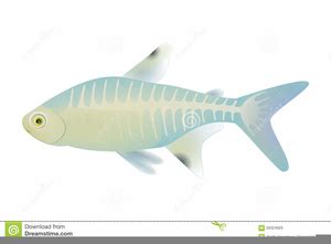 ray fish clipart  images  clkercom vector clip art