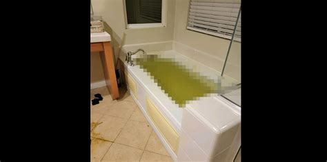 Aaron Carter S Mother Shares Disturbing Photos Of Singer S Bathroom To