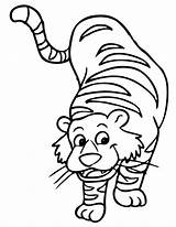 Mewarnai Harimau Tigre Colorir Cartoon Sebarkan Tk Colornimbus sketch template