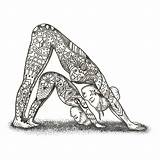 Yoga Drawing Adho Mukha sketch template