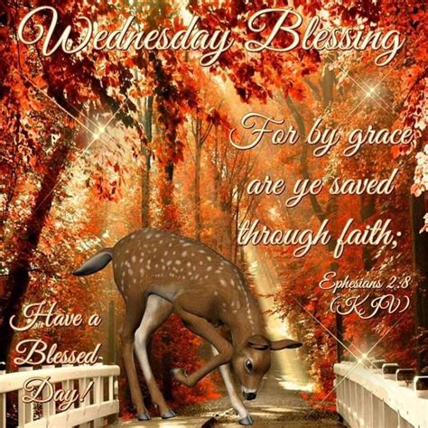 wednesday blessing wednesday happy wednesday wednesday blessings