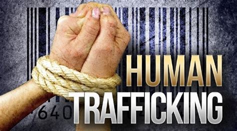 new report states florida s human trafficking assessment tool may not