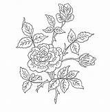 Coloring Embroidery Flowers sketch template