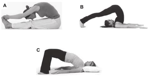 common yoga poses   extreme spinal flexion adapted