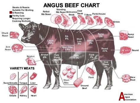 beef cuts chart grill thrill