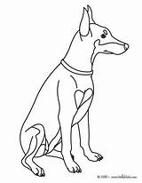 Doberman Coloring Pages Dog Pinscher Labrador Retriever Fluffy Drawing Printable Face Getcolorings Colouring Puppy Designlooter Color Animals Kids Cute Getdrawings sketch template