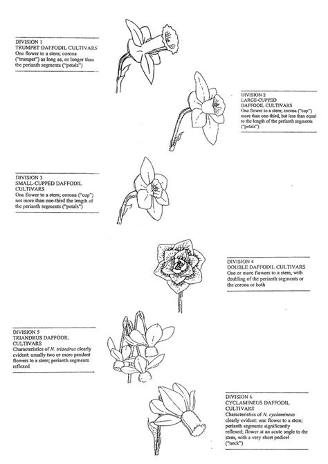 saffron walden horticultural society