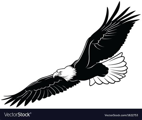soaring eagle vector  vectorifiedcom collection  soaring eagle