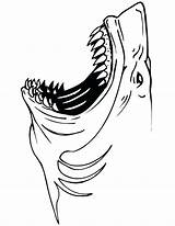 Pages Coloring Great Printable Getcolorings Shark sketch template