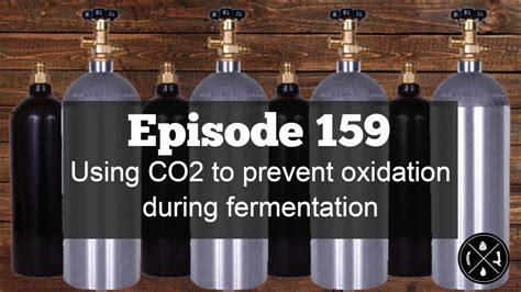 using co2 to prevent oxidation during fermentation — ep