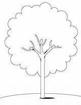 Tree Coloring Pages sketch template