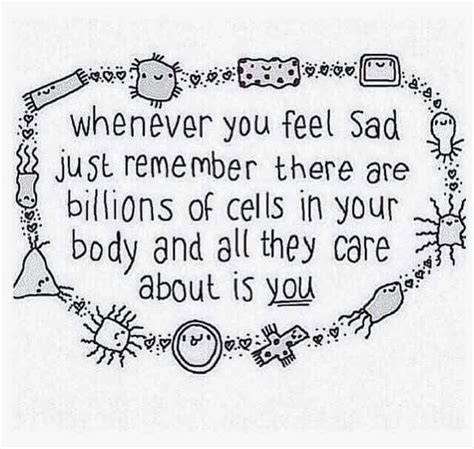your cells love you ♡ positive quotes quotes positivity
