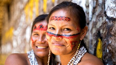 indios  brasil resumo sociedade indigena escravidao cultura arte