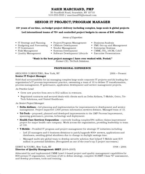 project manager  resume samples blue sky resumes