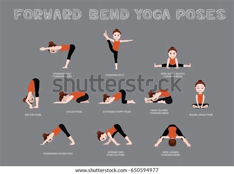yoga  bend poses vector illustration stock vector royalty