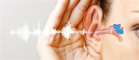 what you need to know about hearing loss signia hearing aids