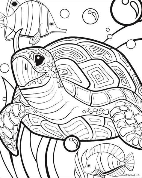 sea life coloring pages   ideas  animal coloring pages