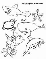 Coloring Ocean Pages Animals Animal Colouring Shark Fish Sea Crab Kids Printable Crafts Sharks Star Drawing Birthday Choose Board sketch template