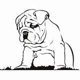 Bulldog Puppy Clipart Cute Dog Line Clip Wall Cliparts Library Decor Dogs Drawing Sticker Stickers Bull Colorear Ingles Para Getdrawings sketch template
