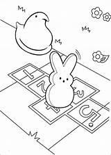 Peeps Marshmallow Coloriez Malvorlagen Coloriages Bunnies Easter Feltro Junina Choisis Tes Xcolorings sketch template