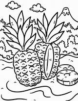 Coloring Tropical Pineapple Island Pages Wild Print Kids Color Designlooter Drawings Size Kid 92kb 777px sketch template