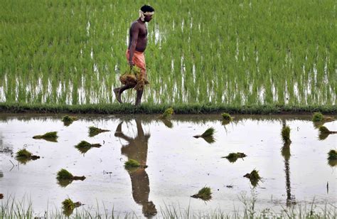 india s lower house passes land acquisition bill the new york times