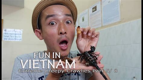 Fun In Vietnam Extreme Creepy Crawlies Part Five Vlog Youtube