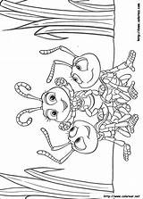 Bichos Inseto 1001 Insetti Pattes Kolorowanki Bichitos Flik Trawie Bugs Pintar Pixar Cantinho Infantiles Coloriages Kolorowanka Dawno Temu Atta sketch template