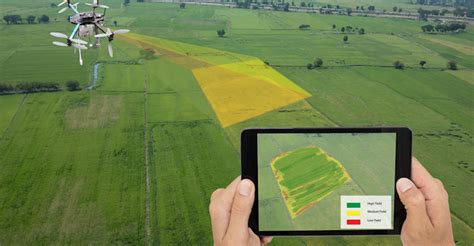ndvi cameras  drones drone agriculture  vegetation  insider