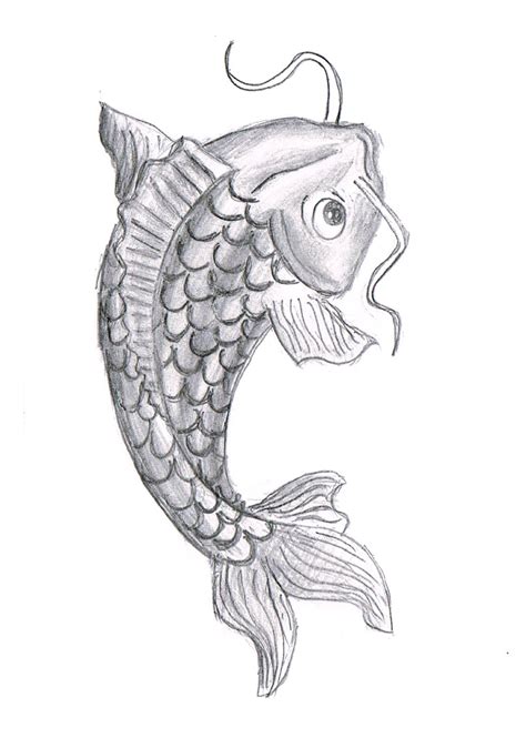detailed drawing   fish clip art library