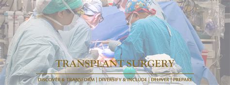 transplant surgery department  surgery