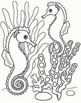 Mer Colorir Animais Mare Hippocampe Marin Colorat Imagensemoldes Imagini Morski Konik Morskie Kolorowanki Caballito Koniki Carle Caluti Ausmalbilder Cal Malvorlagen sketch template