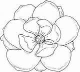 Coloring Flower Pages Flowers Magnolia Large Kids Outline Drawing Color Colouring Printable Tattoo Drawings Sheets Rose Real Print Books Life sketch template