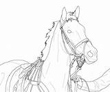 Horse Lineart Coloring Pages Racehorse Drawing Dressage Deviantart Line Bridle Thoroughbred Horses Drawings Race Printable Color Head Knight Thor Sketch sketch template